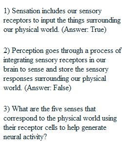 Self-Quiz Questions 3